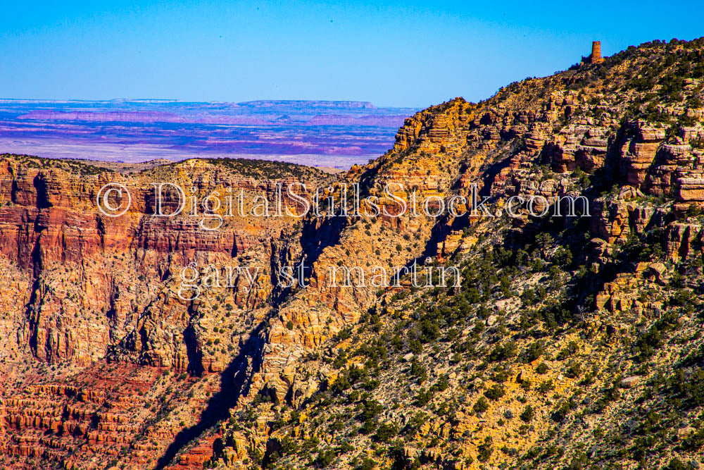 New Growth Slope, Digital, Arizona, Grand Canyon