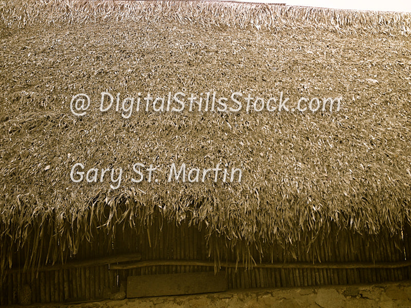 Thatch Roof, Yelapa, Mexico, digital