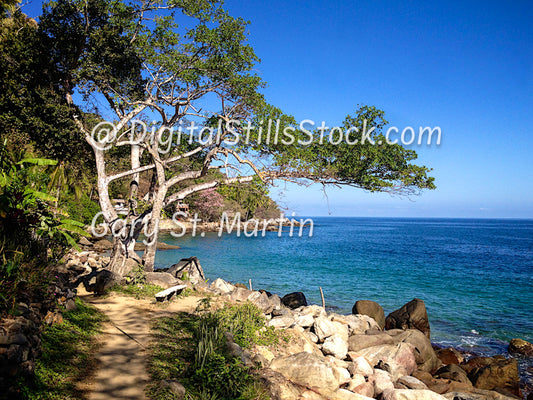 Trail Along Rocky Beach, Digital, Yelapa, Mexico