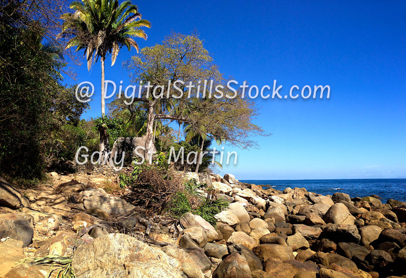 Rocky Beach against Tree Trail, Yelapa, Mexico, digital