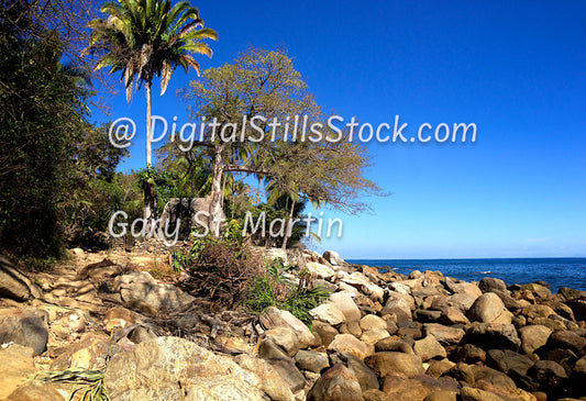 Rocky Beach against Tree Trail, Yelapa, Mexico, digital