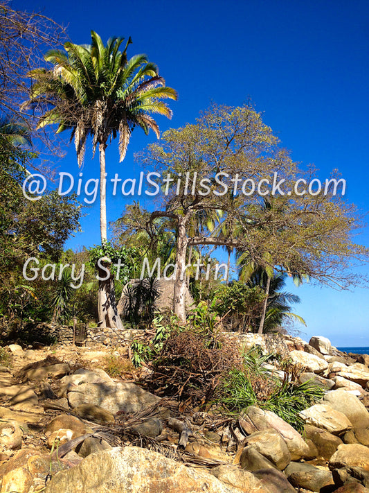 Beachside Property Center with Trees, Yelapa, Mexico, digital