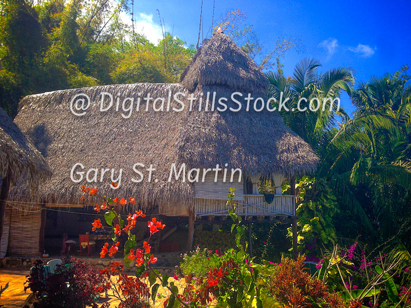 Side View of Hotel, Flowers Foreground, Yelapa, Mexico, digital