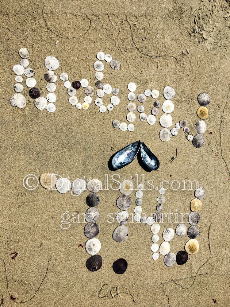 Sand dollar words, digital sunset