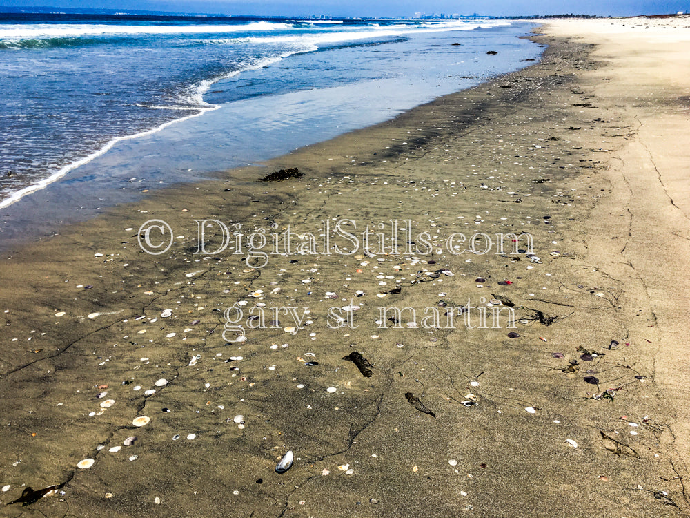 Shells on the blue shore, digital sunset