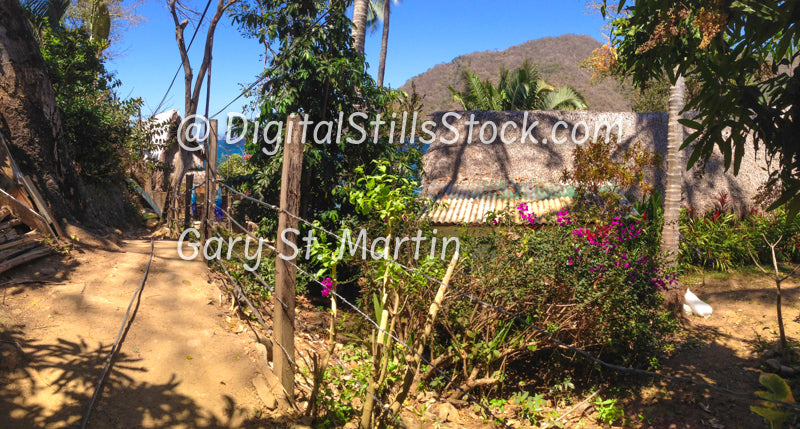 View along Village Trail, Yelapa, Mexico, digital