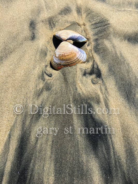 Colorful shell in the sand, digital sunset