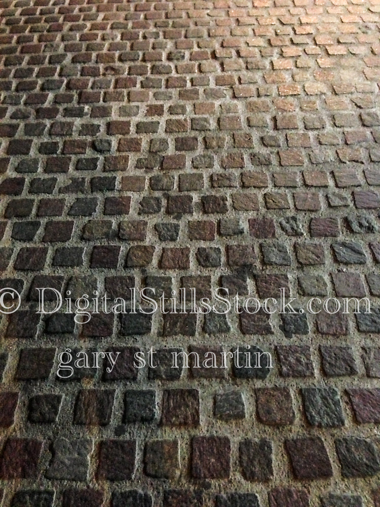 Brick Path , digital Puerto Vallarta