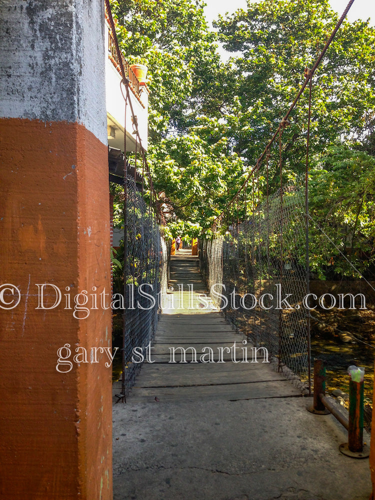 Leafy Walkway, digital Puerto Vallarta