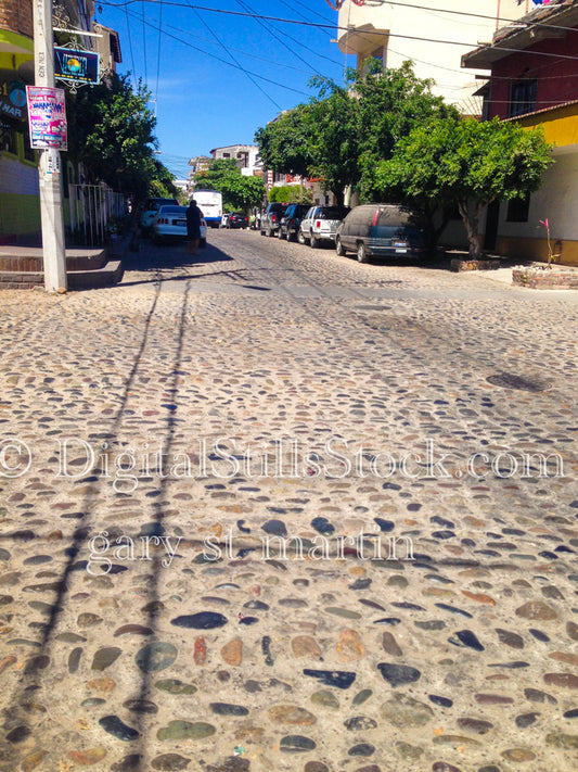 On the pebbled path, digital Puerto Vallarta