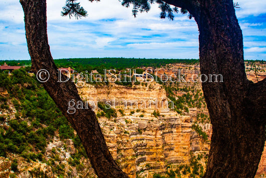 Canyon Ridges behind Tree, Digital, Arizona, Grand Canyon