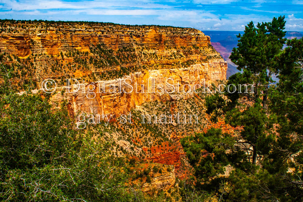 Layered Mesa with Trees, Digital, Arizona, Grand Canyon