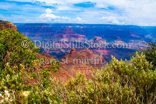 Foliage Foreground Open to Canyon backdrop, Digital, Arizona, Grand Canyon