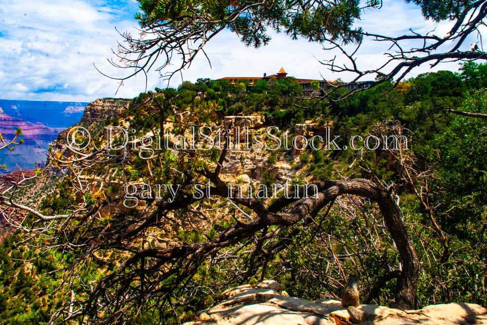 Shrubbery covered Mesa, Tree foreground, Digital, Arizona, Grand Canyon