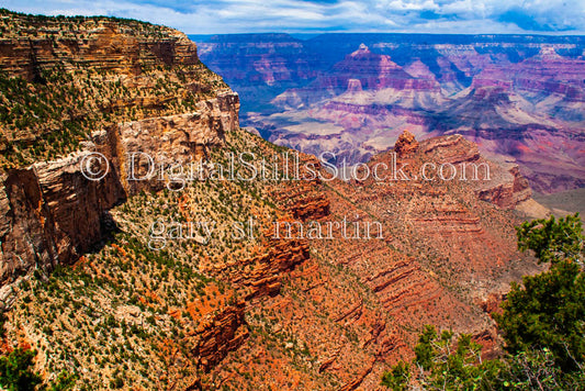 Foliage, Red Outcrop Foreground, Digital, Arizona, Grand Canyon