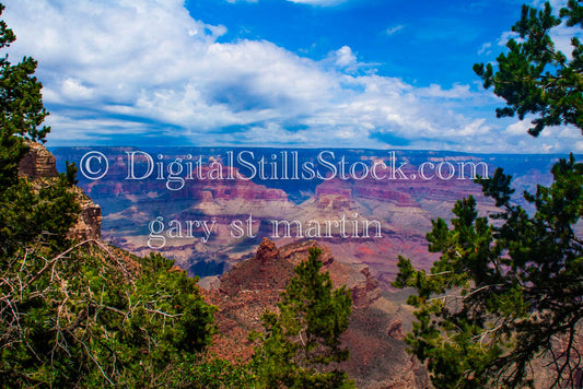 Tree Branch Framed View, Digital, Arizona, Grand Canyon