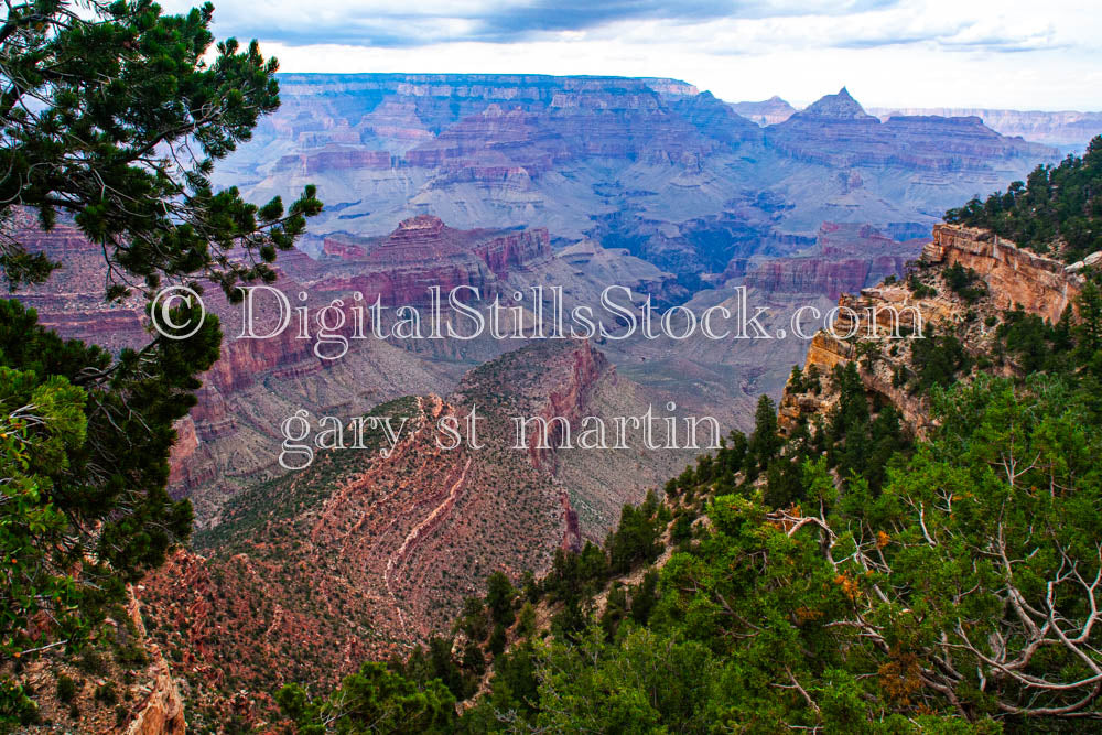 Multi-colored Canyon view with Foliage foreground, Digital, Arizona, Grand Canyon