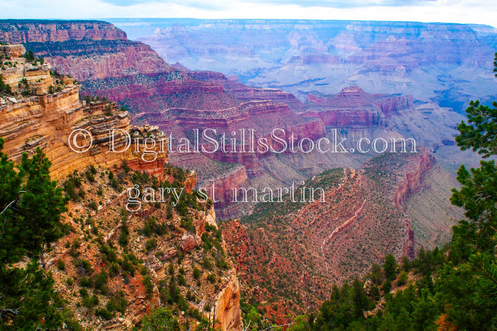 Red Canyon Layers with foliage, Digital, Arizona, Grand Canyon