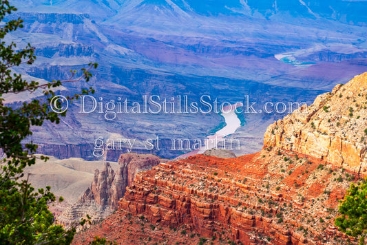 Purple Colorado River with Red Mesa and Tree, Digital, Arizona, Grand Canyon