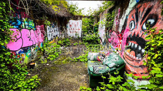 Overgrown and Graffiti - Vashon Island, digital Vashon Island