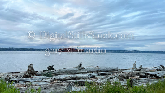 Views of a shipping container - Vashon Island, digital Vashon Island