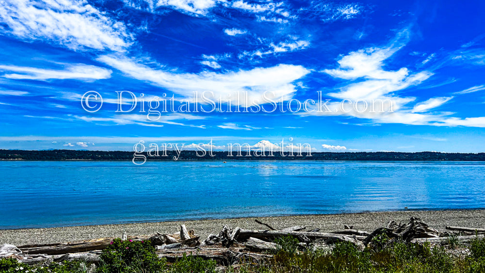 Mount Rainier in the Distance  - Vashon Island, digital Vashon Island