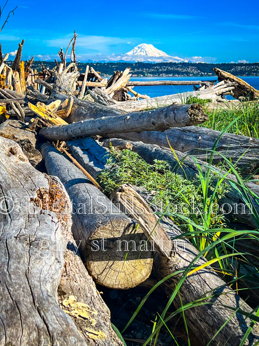 Piles of Wood  - Vashon Island, digital Vashon Island
