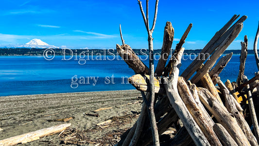 Wooden shelter along the Beach - Vashon Island, digital Vashon Island