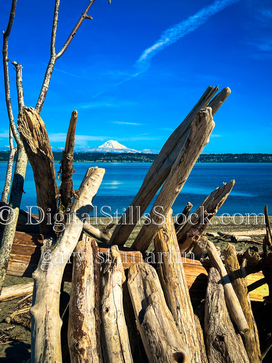 Logs and Sticks - Vashon Island, digital Vashon Island 
