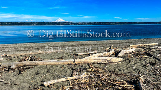 Wood Drifted on Shore - Vashon Island, digital Vashon Island