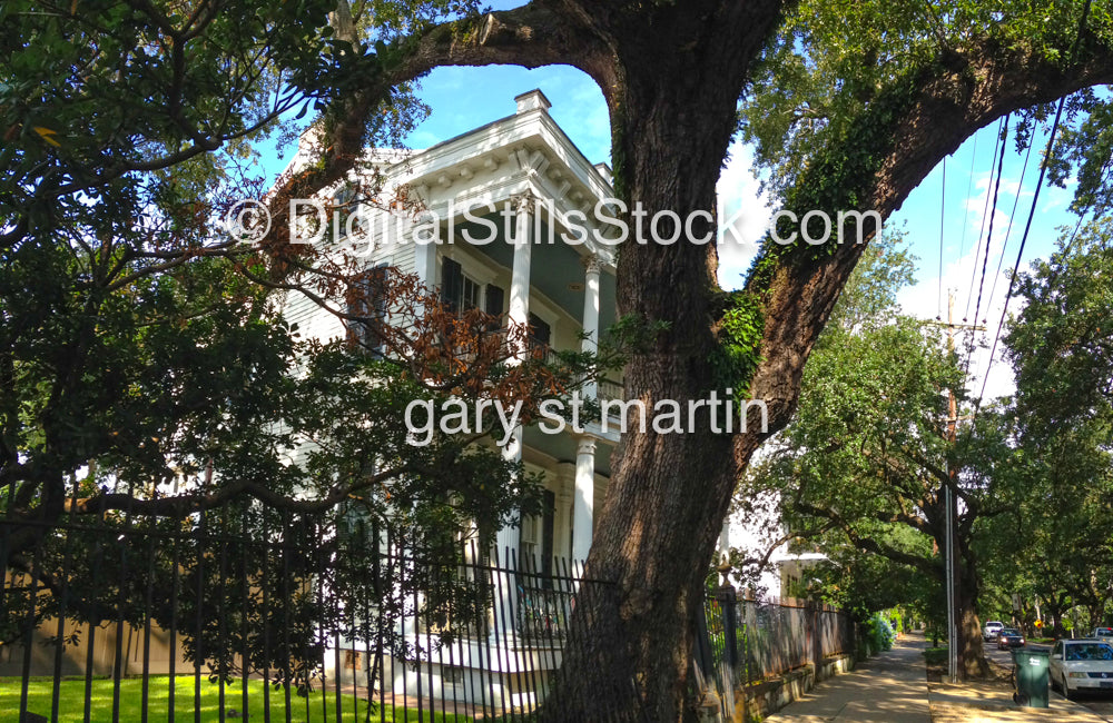 New Orleans Garden District Tour, Digital 