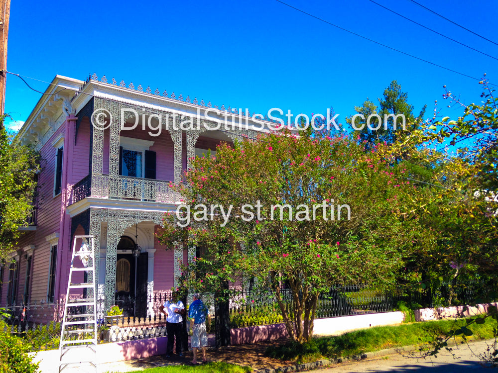 Pink House New Orleans New Orleans, Digital