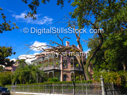 Side View Of Pink House New Orleans New Orleans, Digital