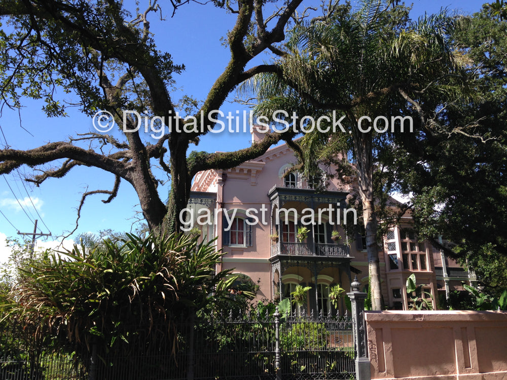 Pink House, New Orleans ,New Orleans, Digital