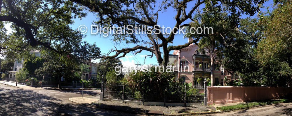 Panoramic Of Pink House, New Orleans, Digital