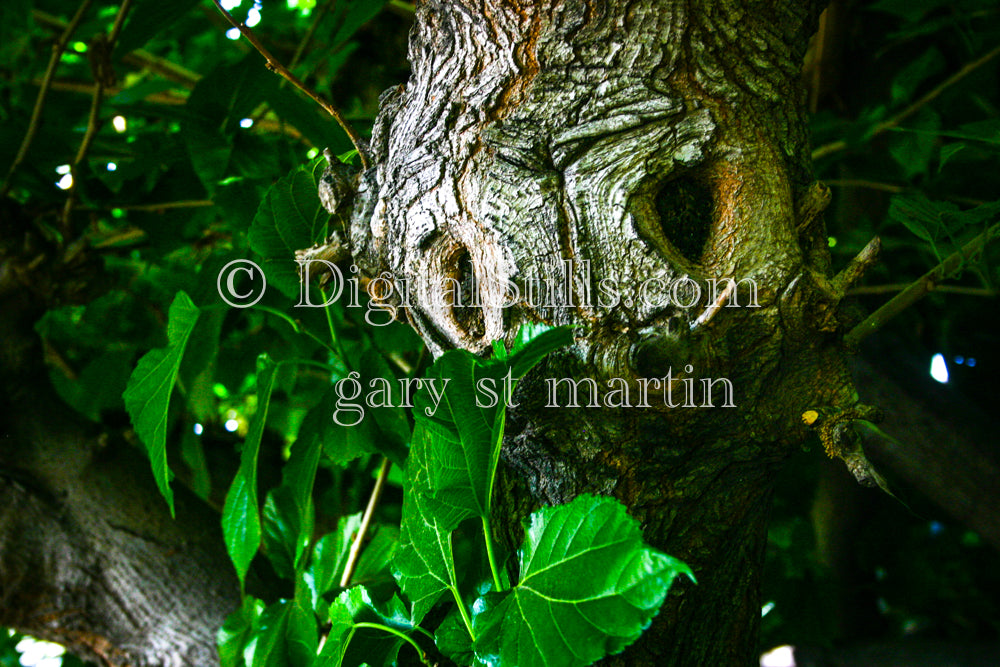 A Tree With A Face Digital, Scenery, Flowers