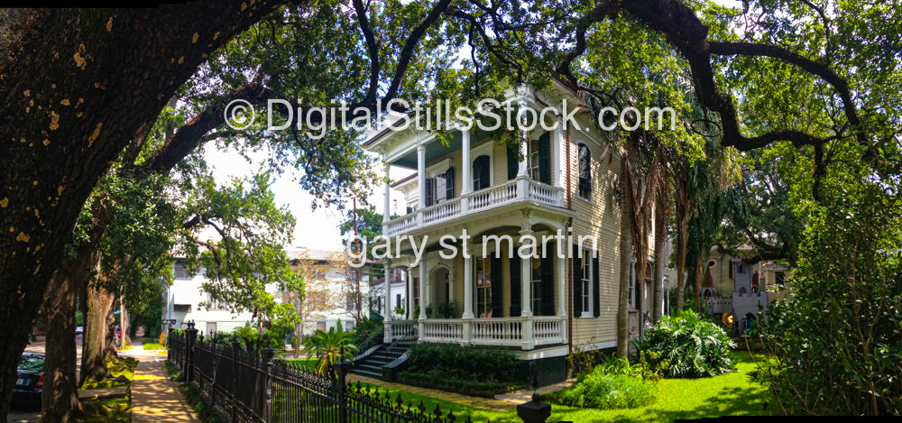 Green Garden House, New Orleans, Digital 