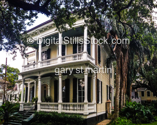 Closeup Of Green Garden House, New Orleans, Digital 