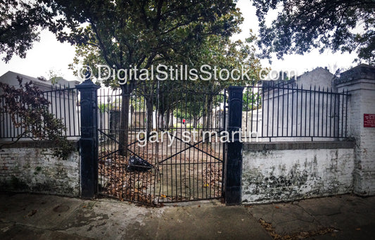 Rusting Fence, New Orleans, Digital 