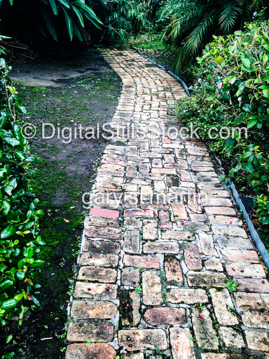 Paved Sidewalk, New Orleans, Digital