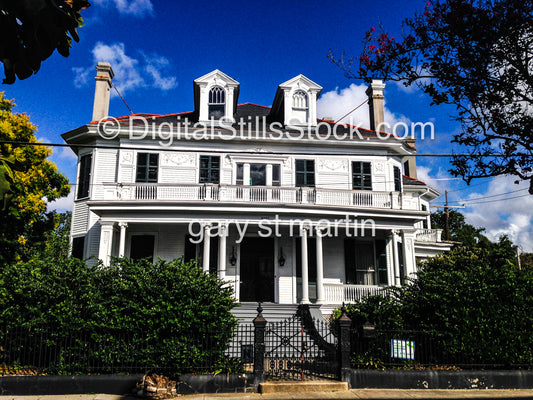 Fenced In White House, New Orleans, Digital