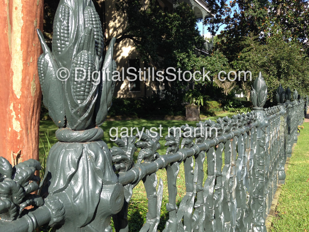 Closeup Of Corn Fence, New Orleans, Digital 