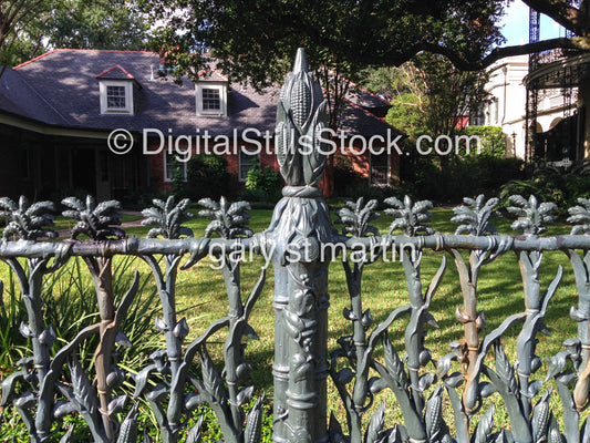 Crops Of Corn Fence, New Orleans , Digtal