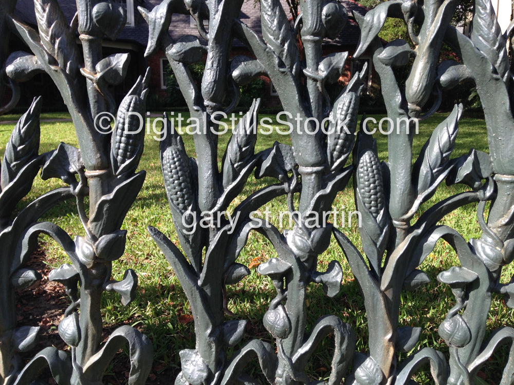 Detailed Corn Fence, New Orleans, Digital