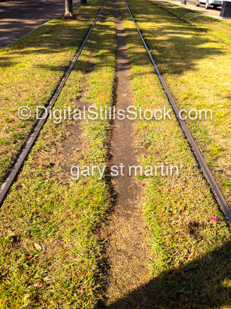 Railroad Track, New Orleans, Digital 