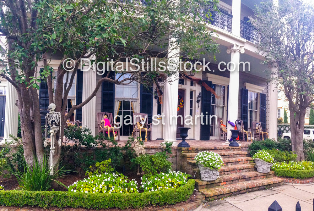 Skeleton Porch, New Orleans, Digital