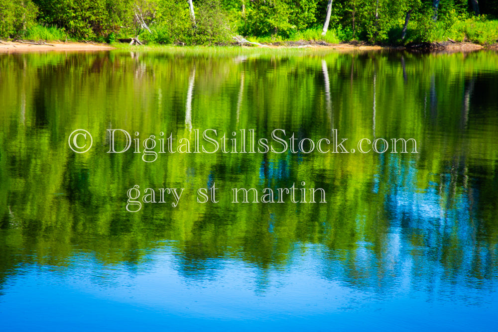 Green Trees reflecting in the water of Sable Lake, digital grand marais