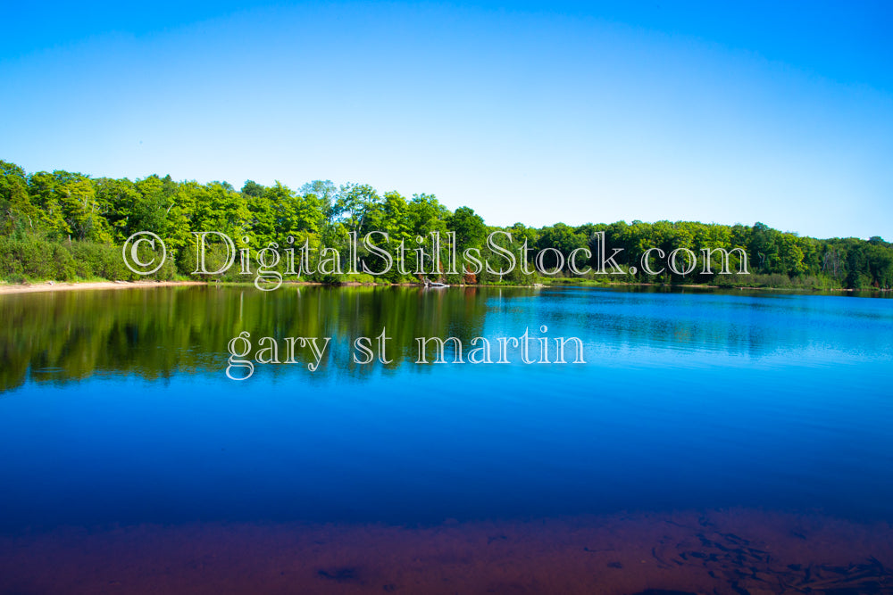 Tree shoreline reflecting in Sable Lake, digital grand marais