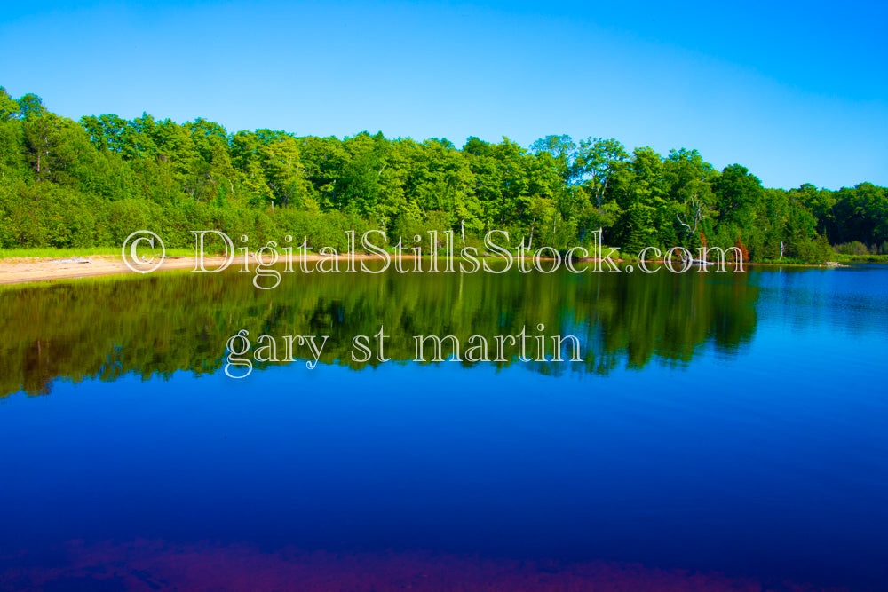 Luscious trees along the water, digital grand marais