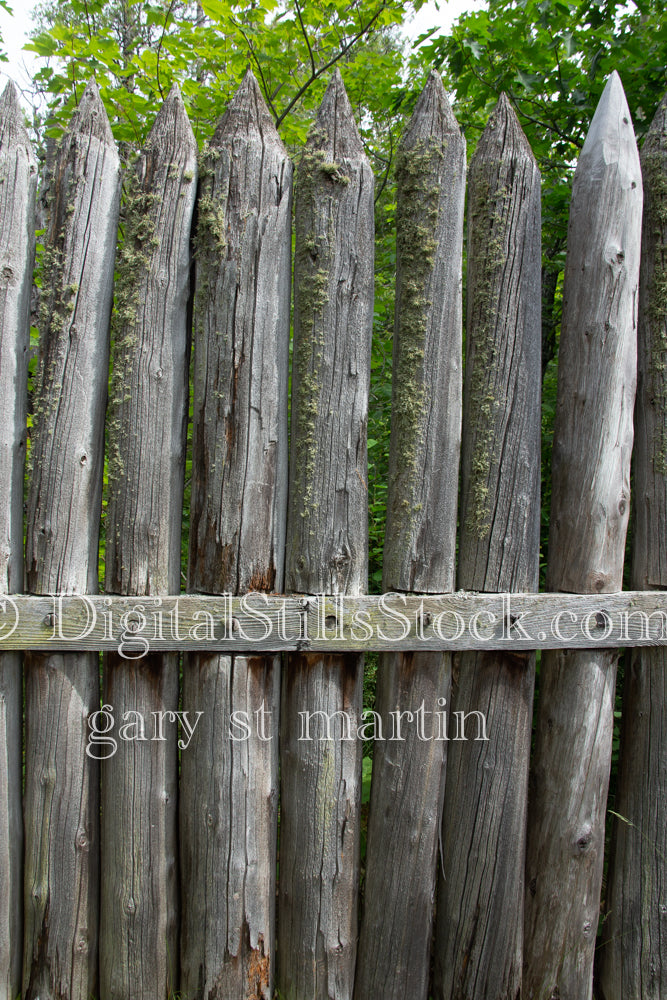 Spiky wooden posts with lichen, digital Copper Harbor